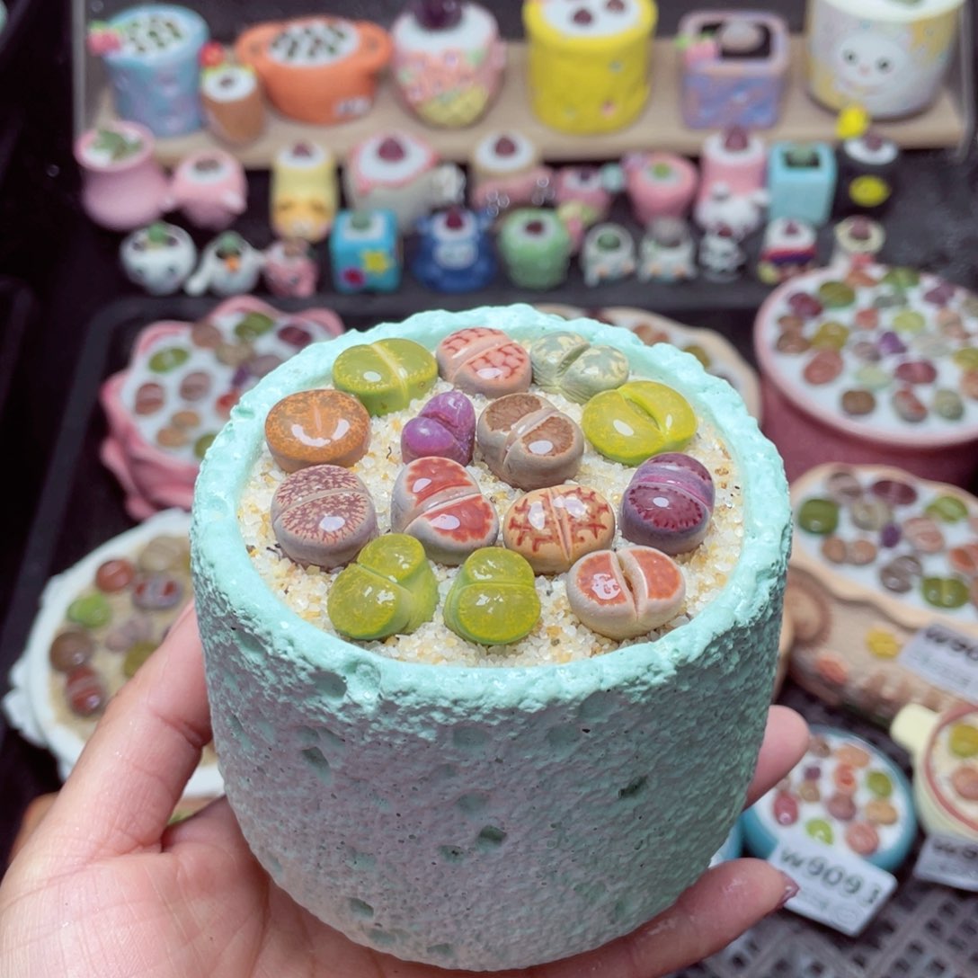 w9096 -零下地区拍保温箱-15支持寄养