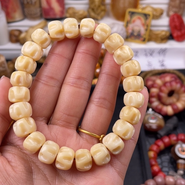 驼骨其他骆驼和雕刻12