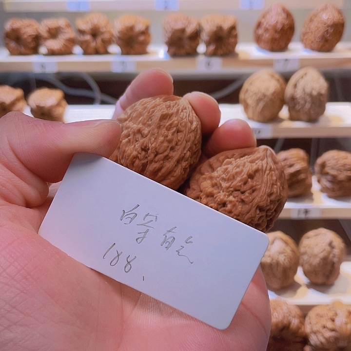 白***明把件文玩核桃鲸品南疆石核桃全品