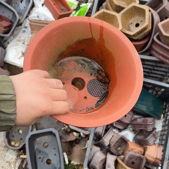 是因为它具有非常丰富且独特功能而