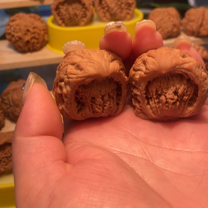 官方网站发布信息