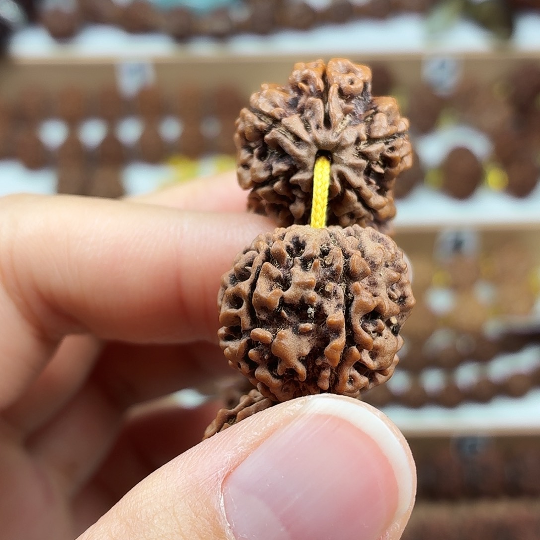 手串金刚菩提精品6瓣铁籽蜂窝