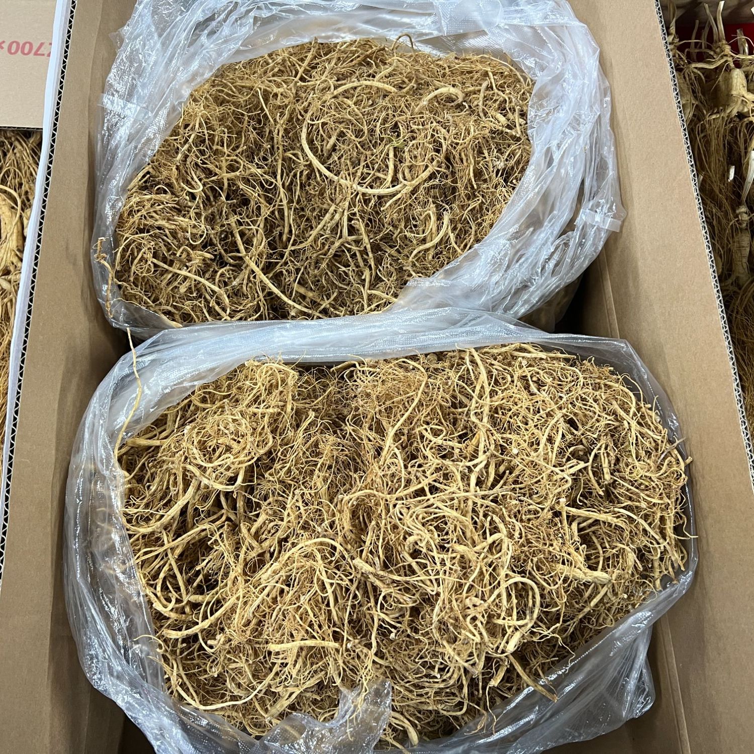 【肖婆专属】长白山精选林下参须