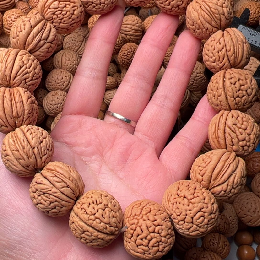 25尺寸龙鳞王桃核