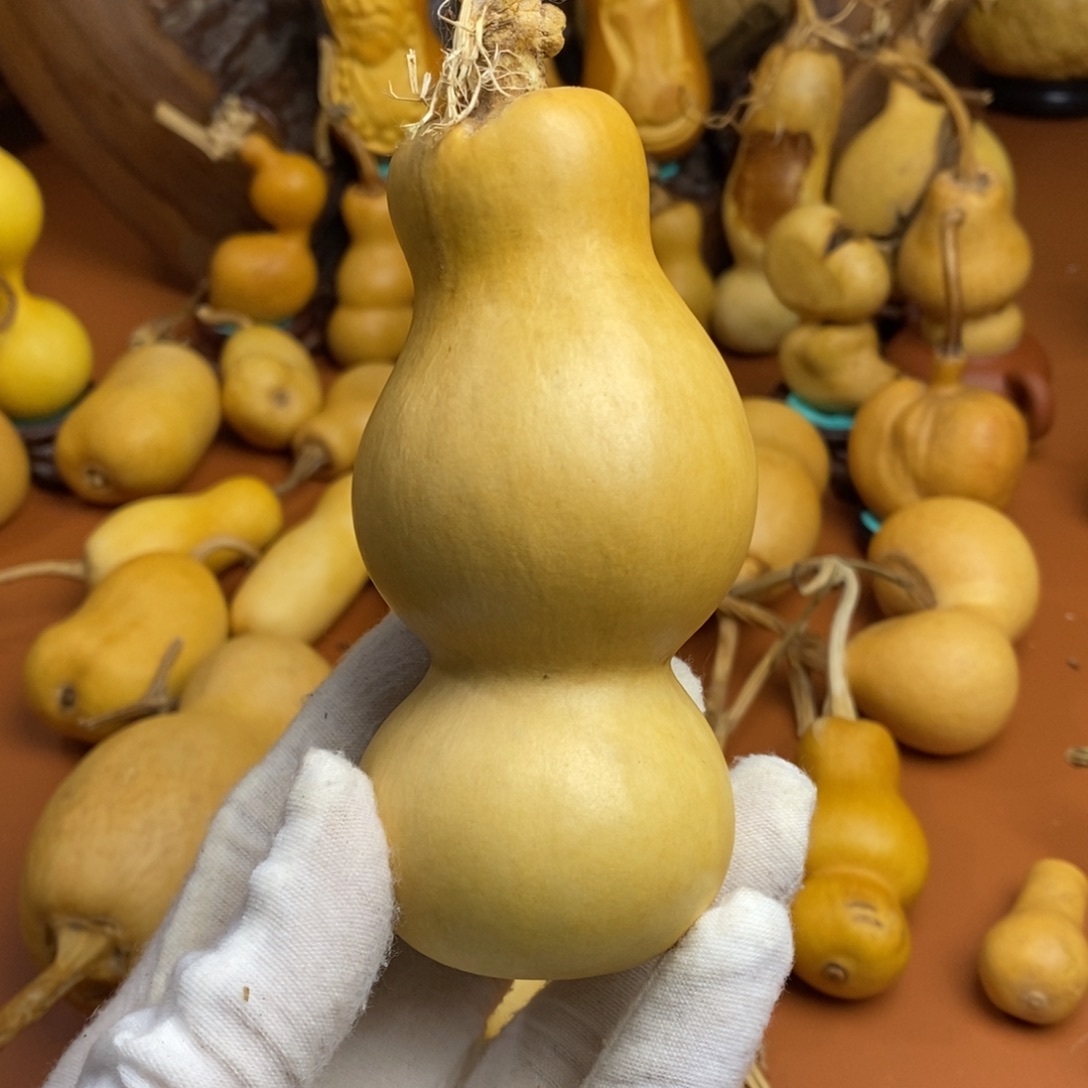 铮***哭了哭路途考虑教练咯