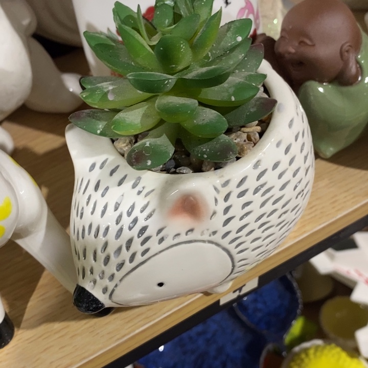 陶瓷树脂工艺摆件