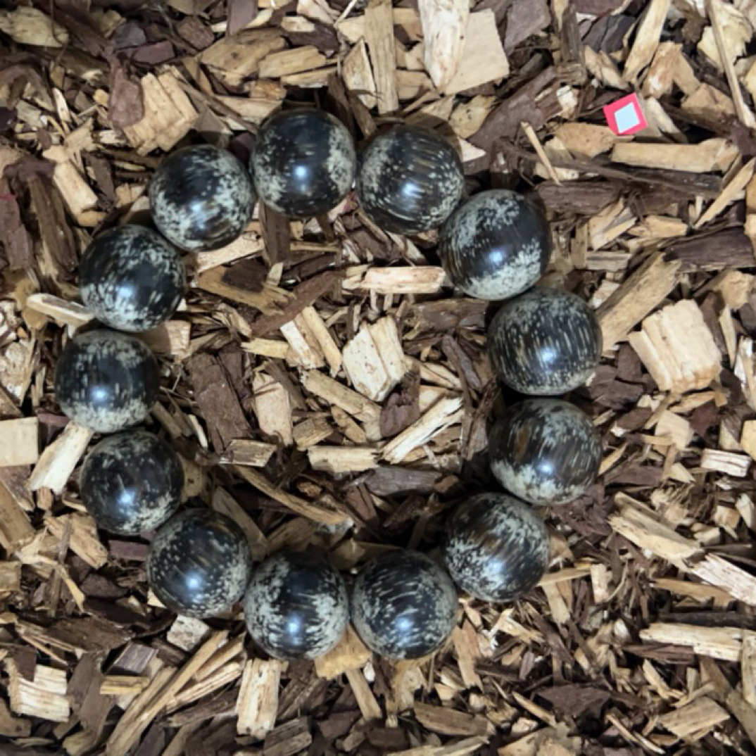 41 福来精选文玩沉香木作手串18mm