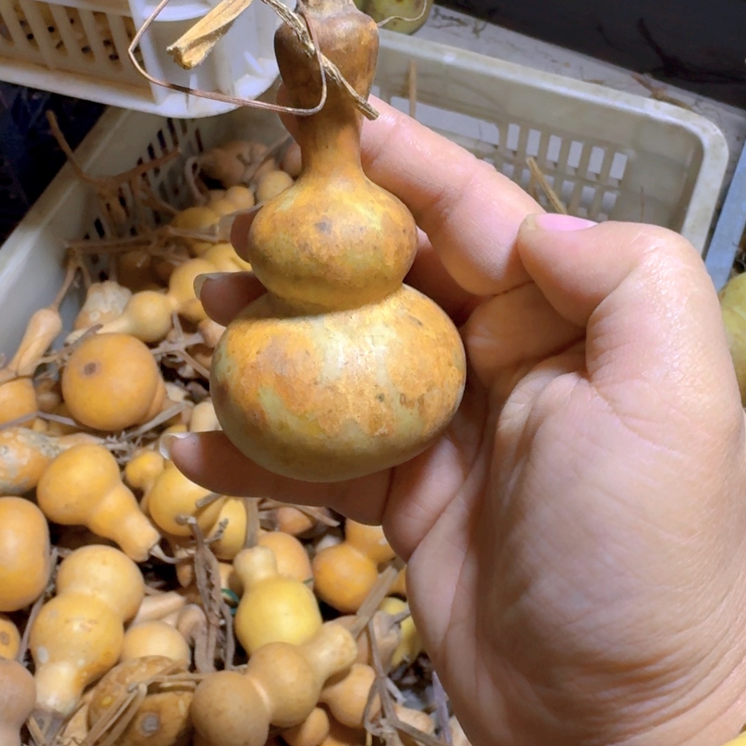 无***情青皮瑕疵品不退不换不保成