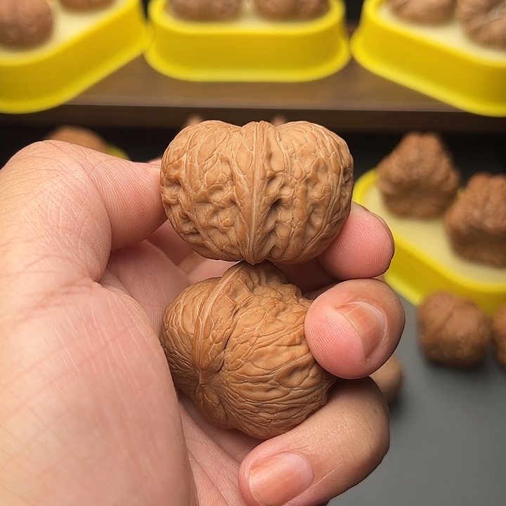 41尺精配头货极品满肉元宝