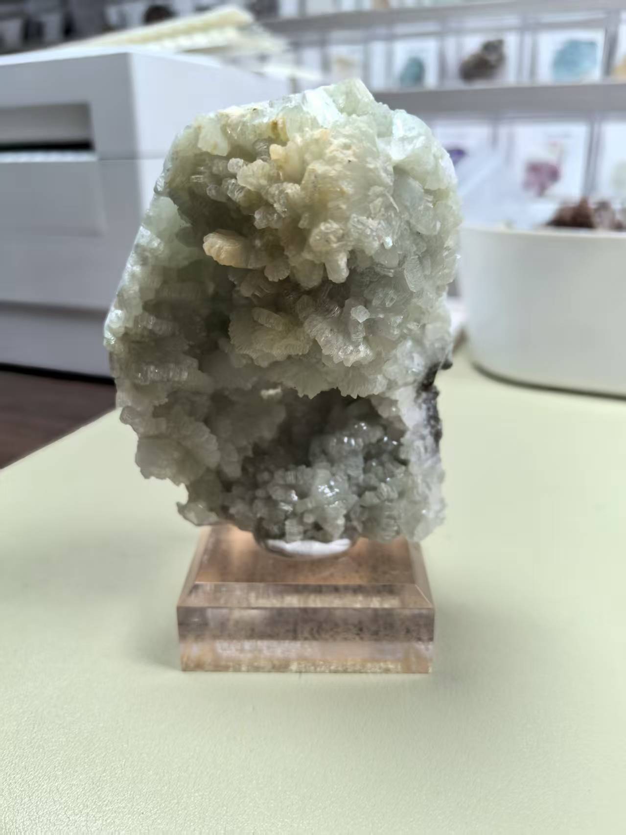 直播间链接 一物一拍
