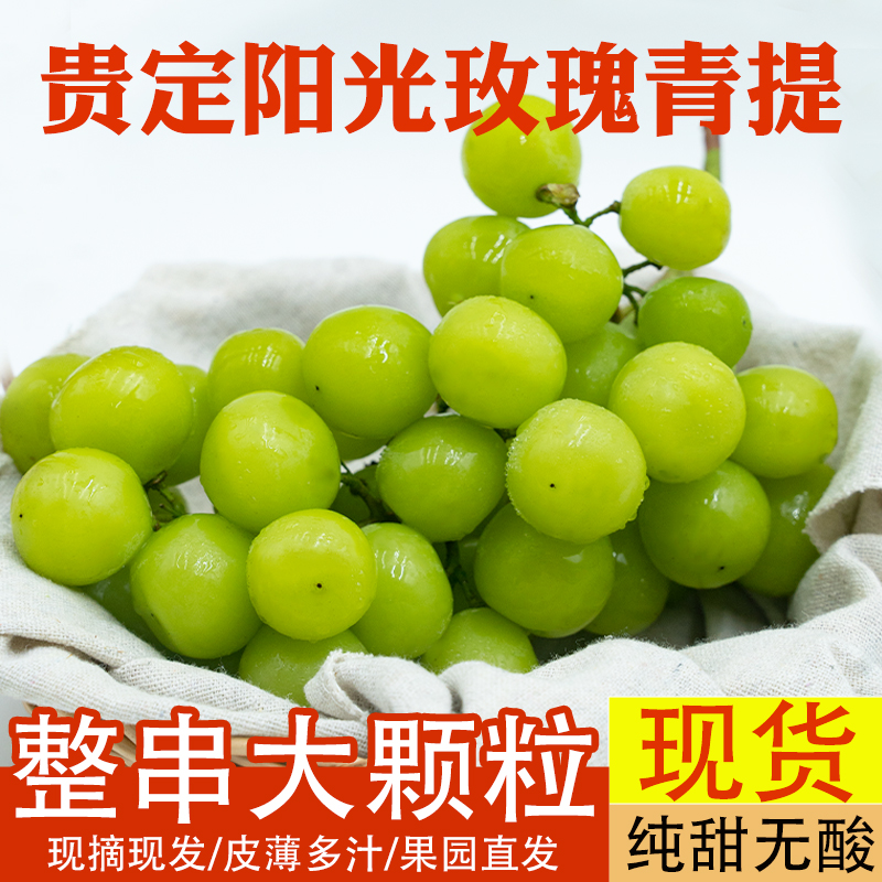 新鲜现摘阳光玫瑰葡萄脆甜多汁当季水果新无籽青提整串脆果园直发