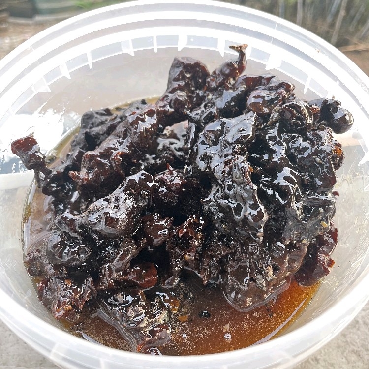 蜜奖杯云南野生蜂蜜纯正天然树酸蜂蜜