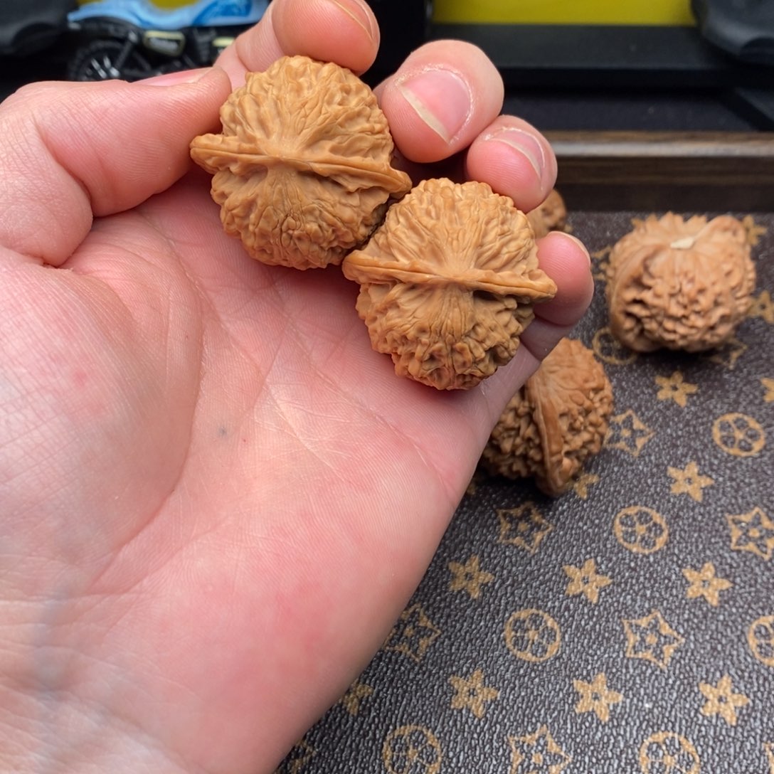 38尺全品金牛狮子头