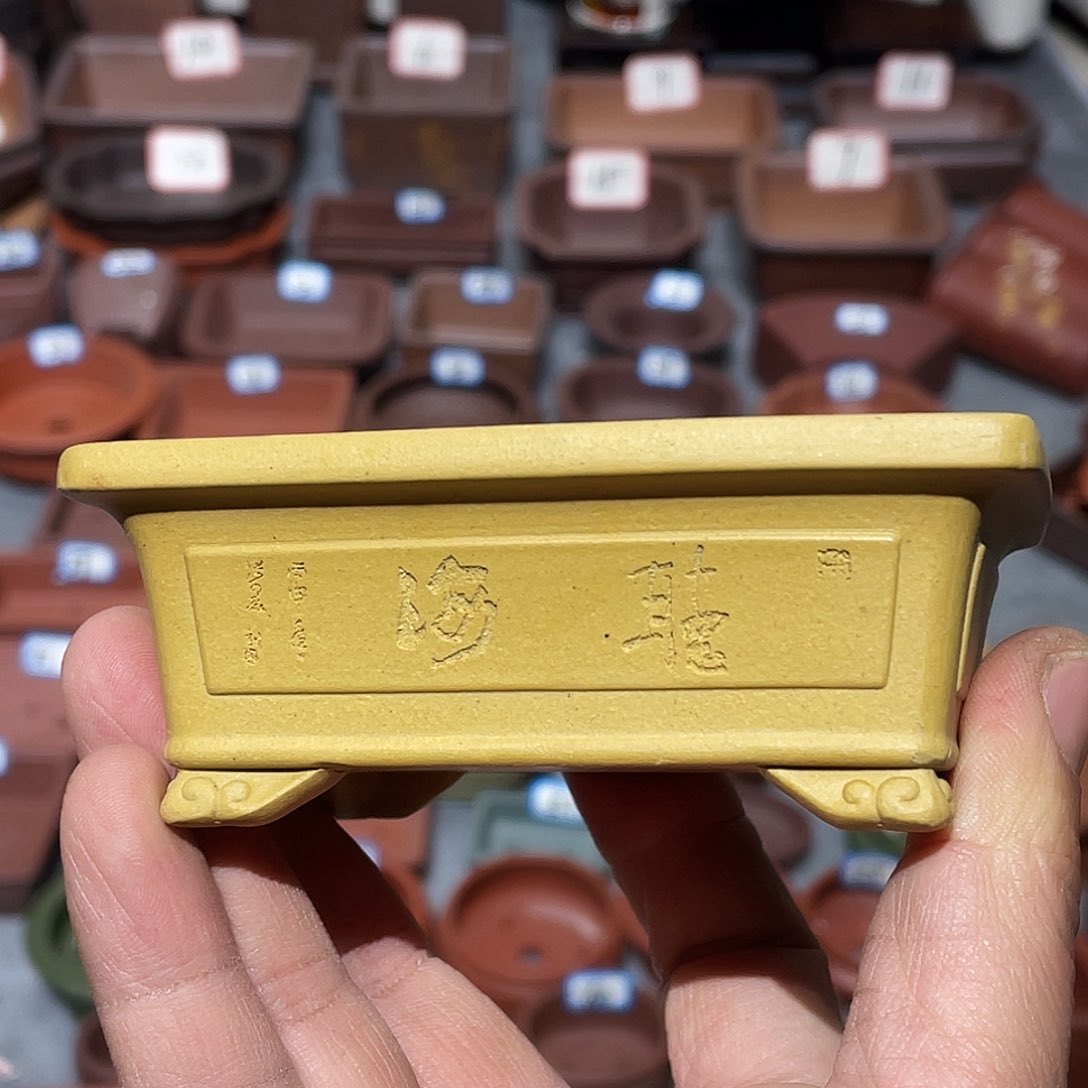 紫砂紫砂小盆8*6*3