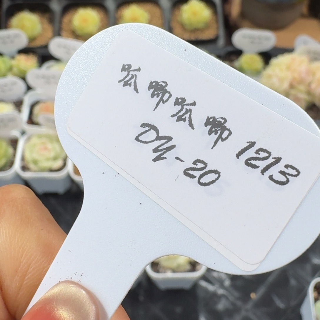 梧***.1213-20-0010（88）30混（68）