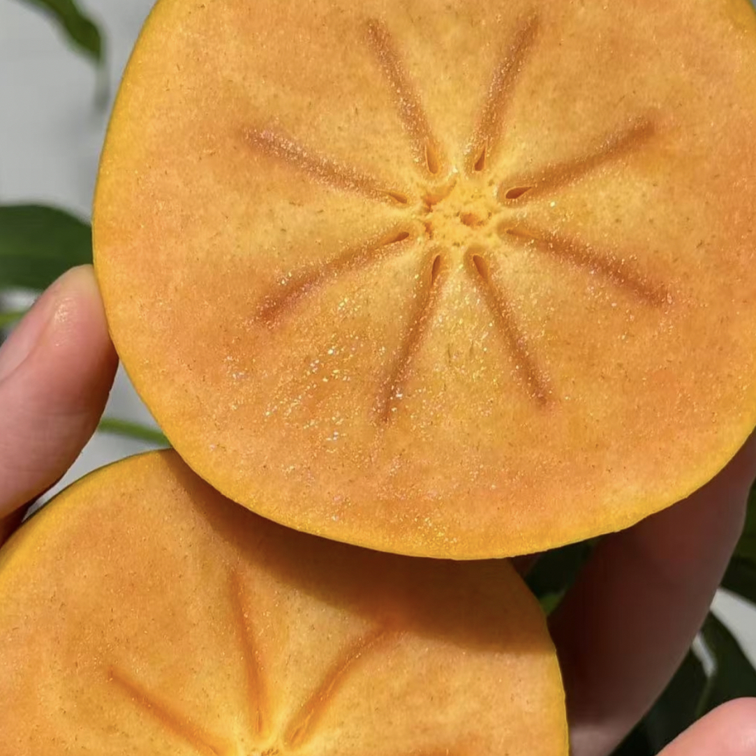 纯甜不涩巧克力脆柿