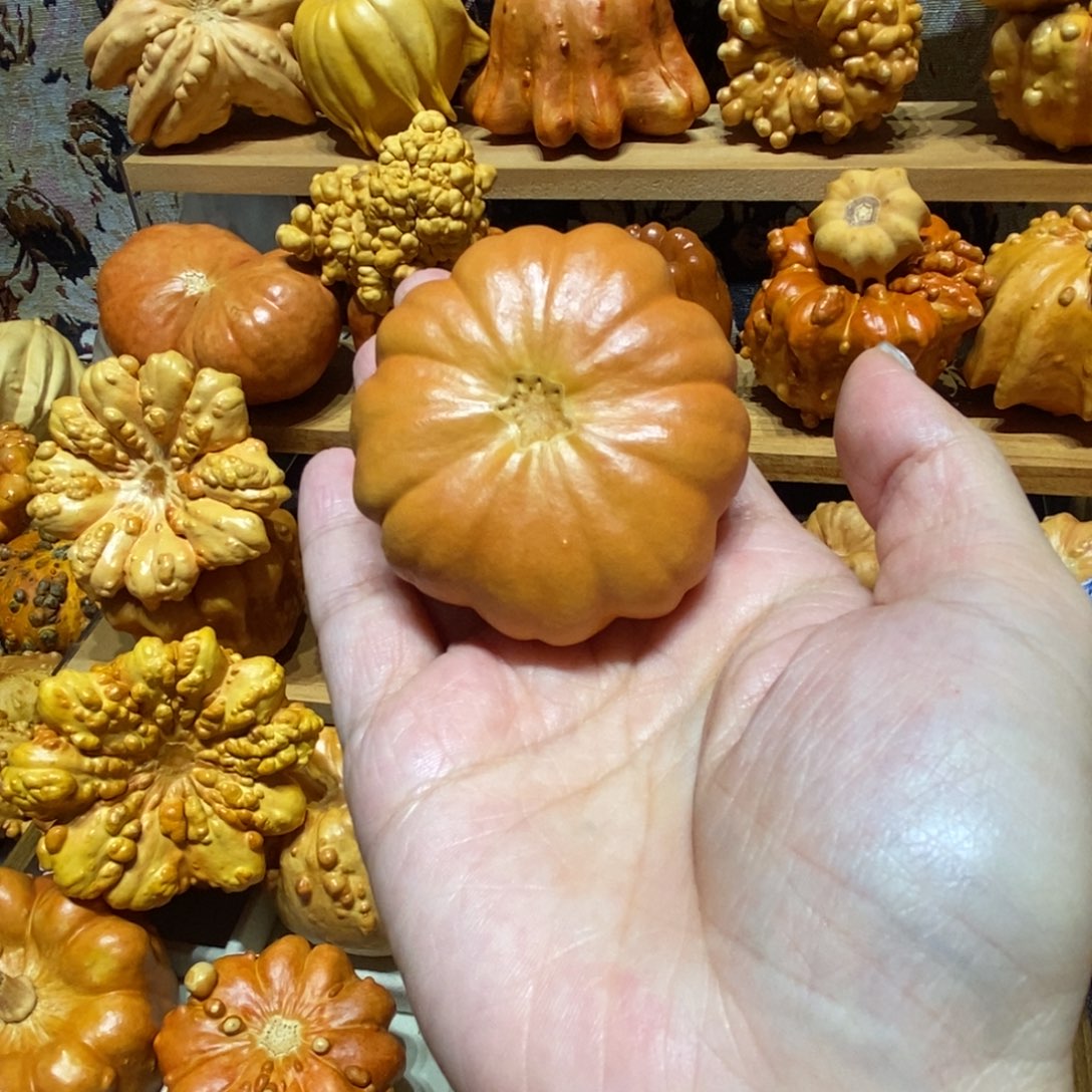 开场福利不退不换