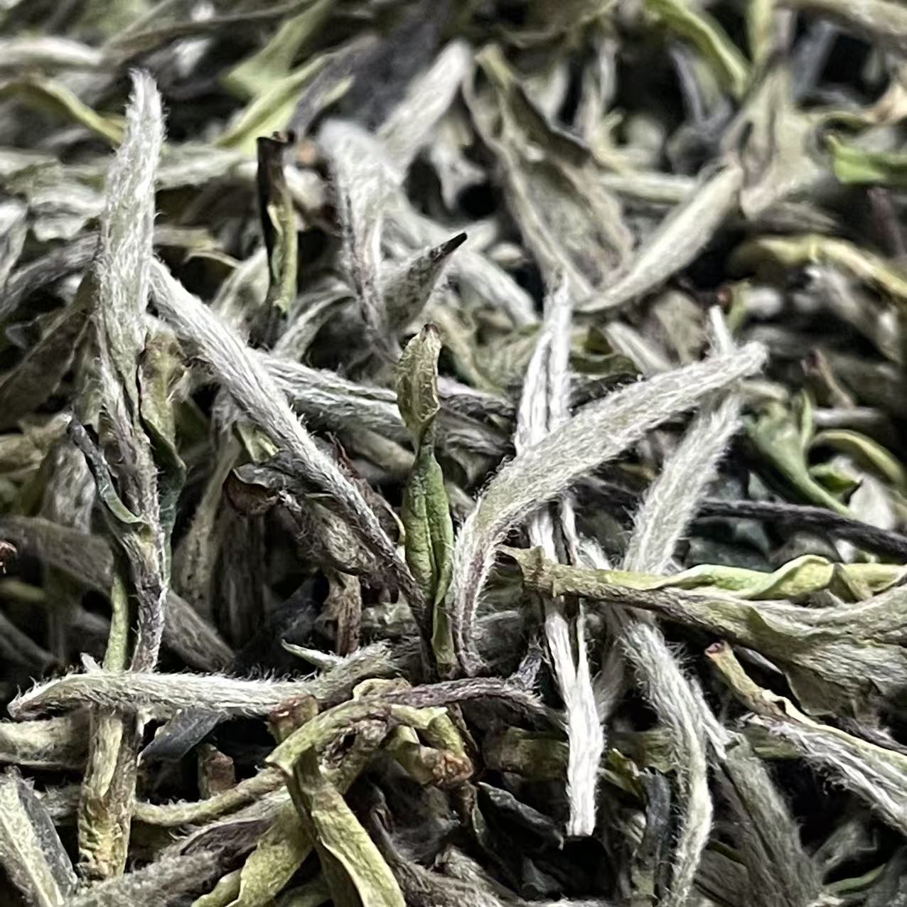 【收茶专用】牡丹王白茶花香毫香8