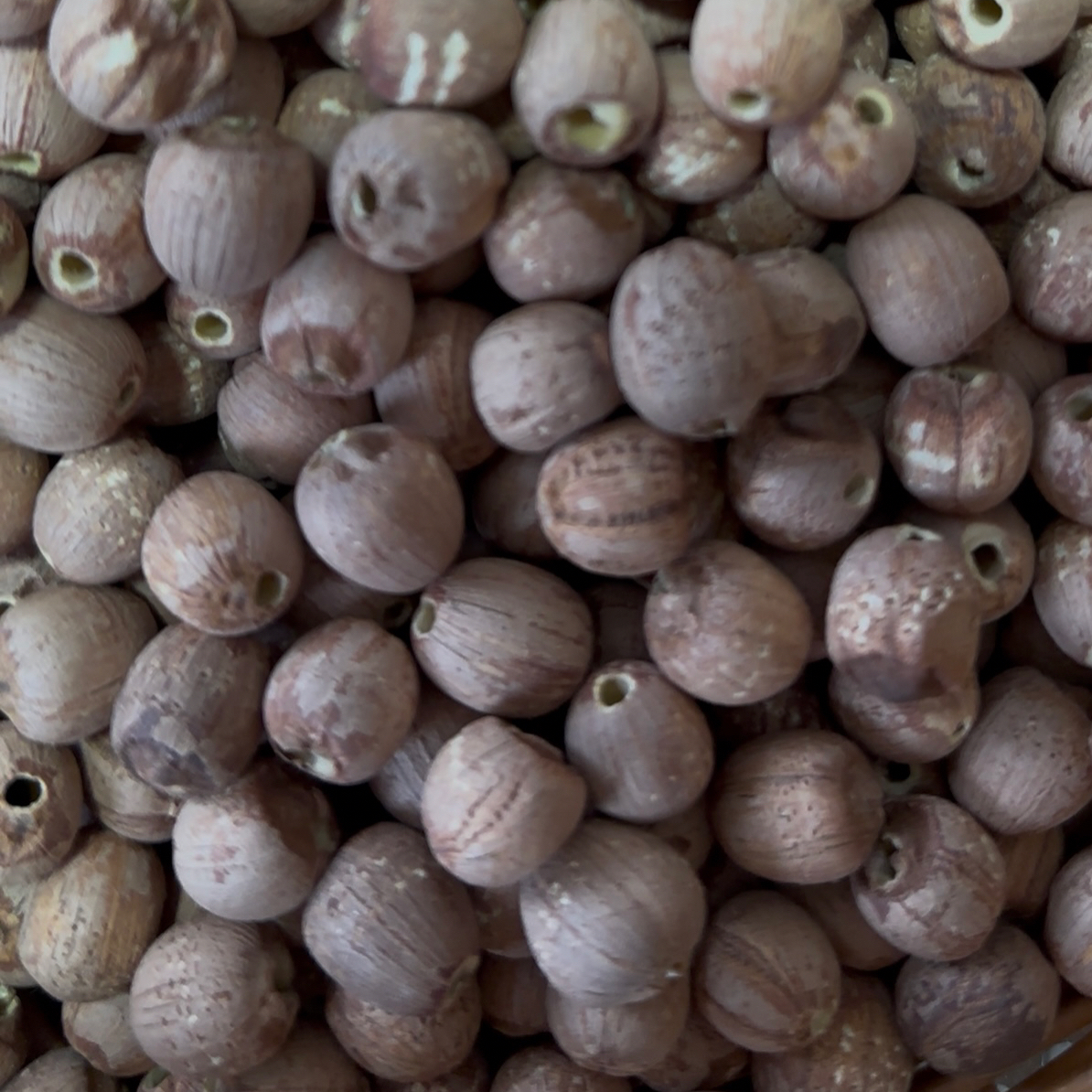 正宗湘潭莲子文冠果草果榛子苦楝子山桐子干货图片半夏