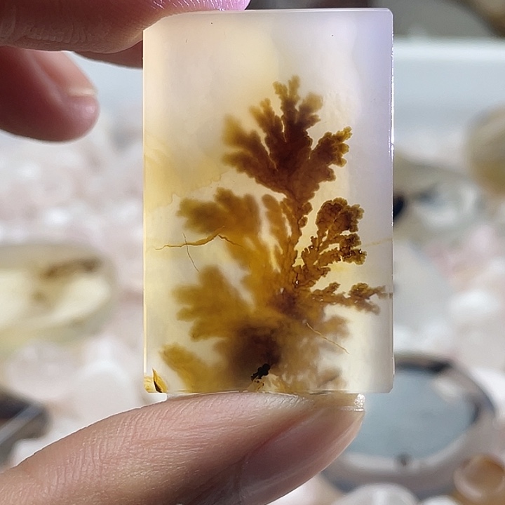 玛瑙/玉髓合金颈饰