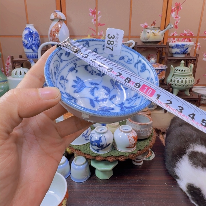 碗387啊啊啊啊啊啊啊啊啊啊啊啊