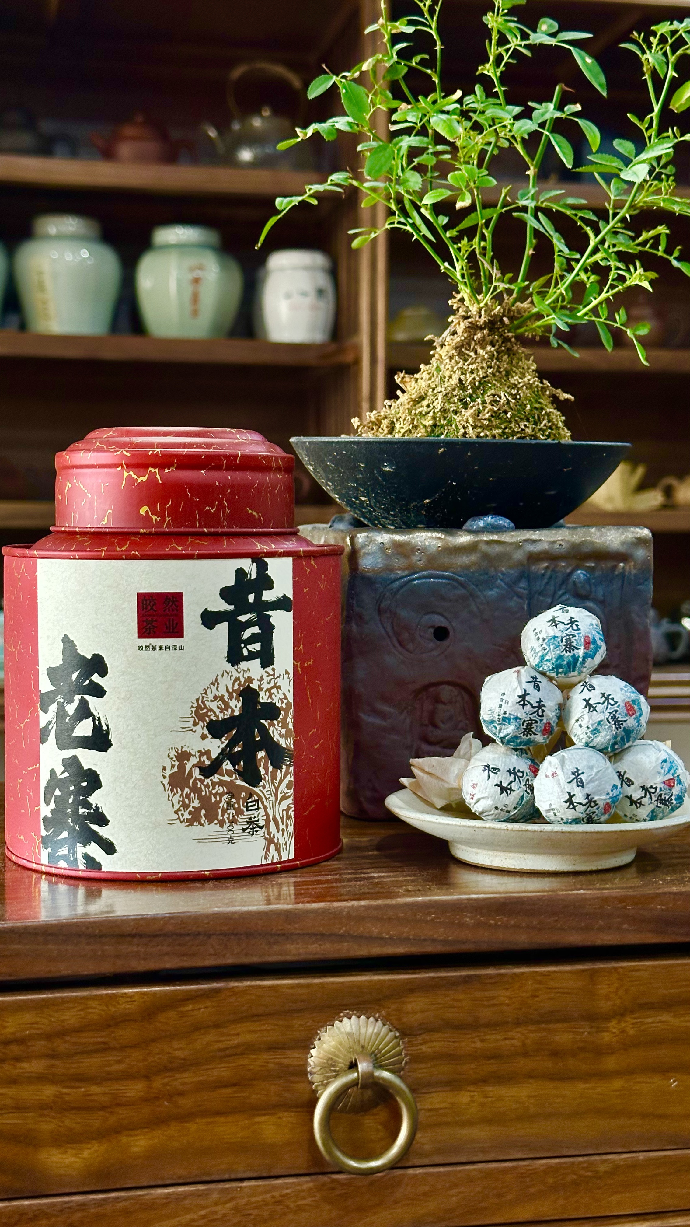 皎然昔本老寨生态白茶龙珠 100g 花果香蜜香甜