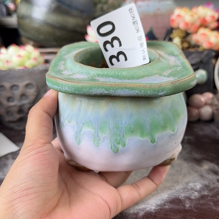 重庆小燕子欢迎大家330