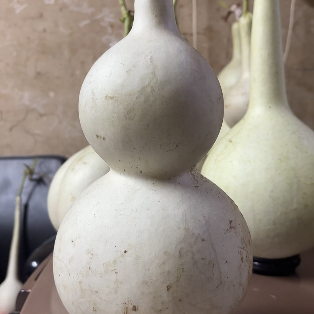 青皮中号八宝葫芦2