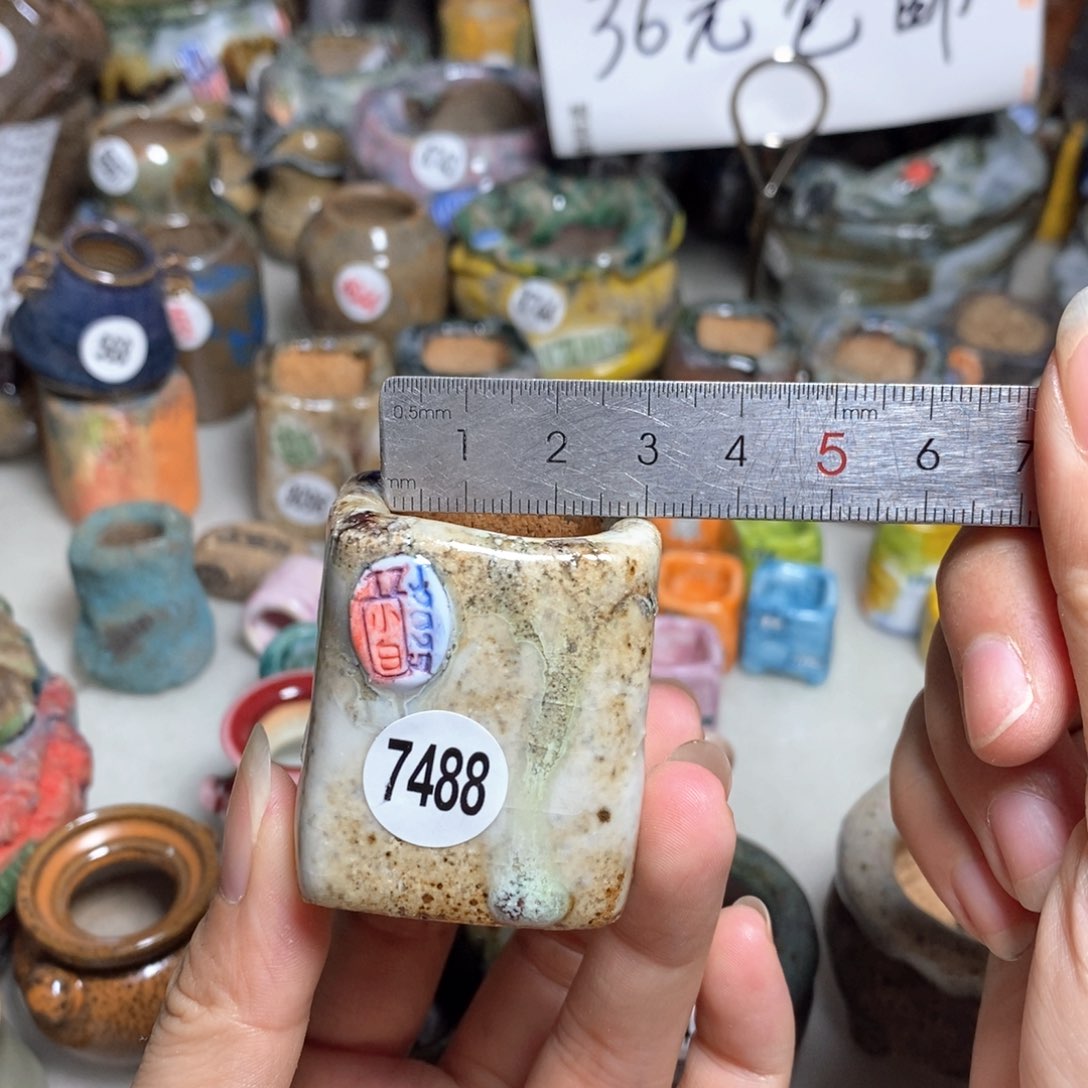 拍3送一个小礼物