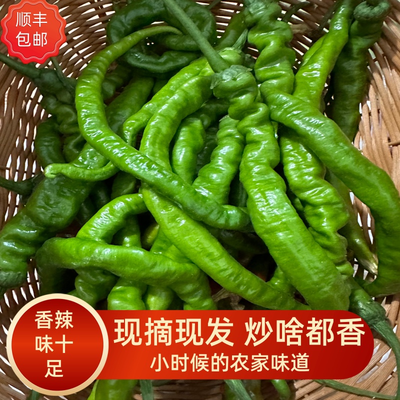 新鲜辣椒湖南农家土辣椒现摘香辣薄皮正宗秋辣椒顺丰包邮