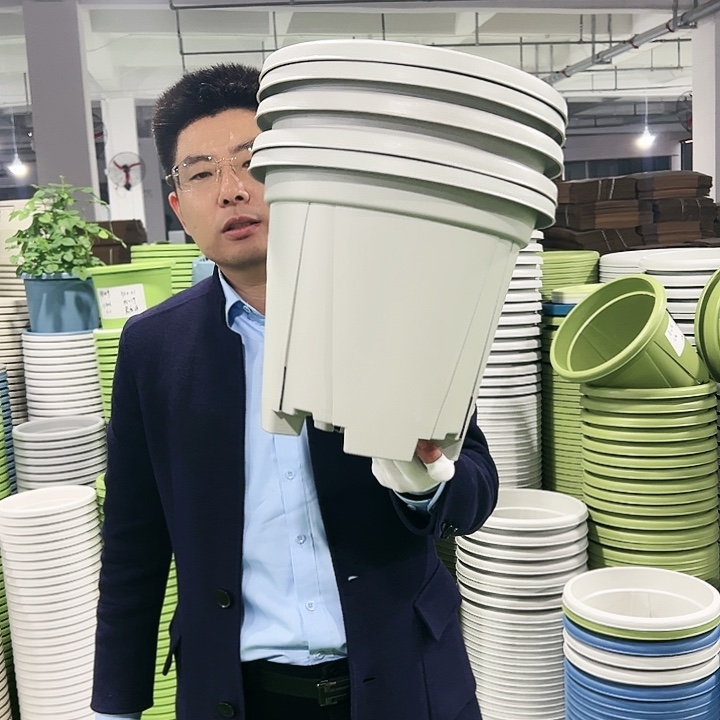 清仓青山口32高28灰白色5只无托