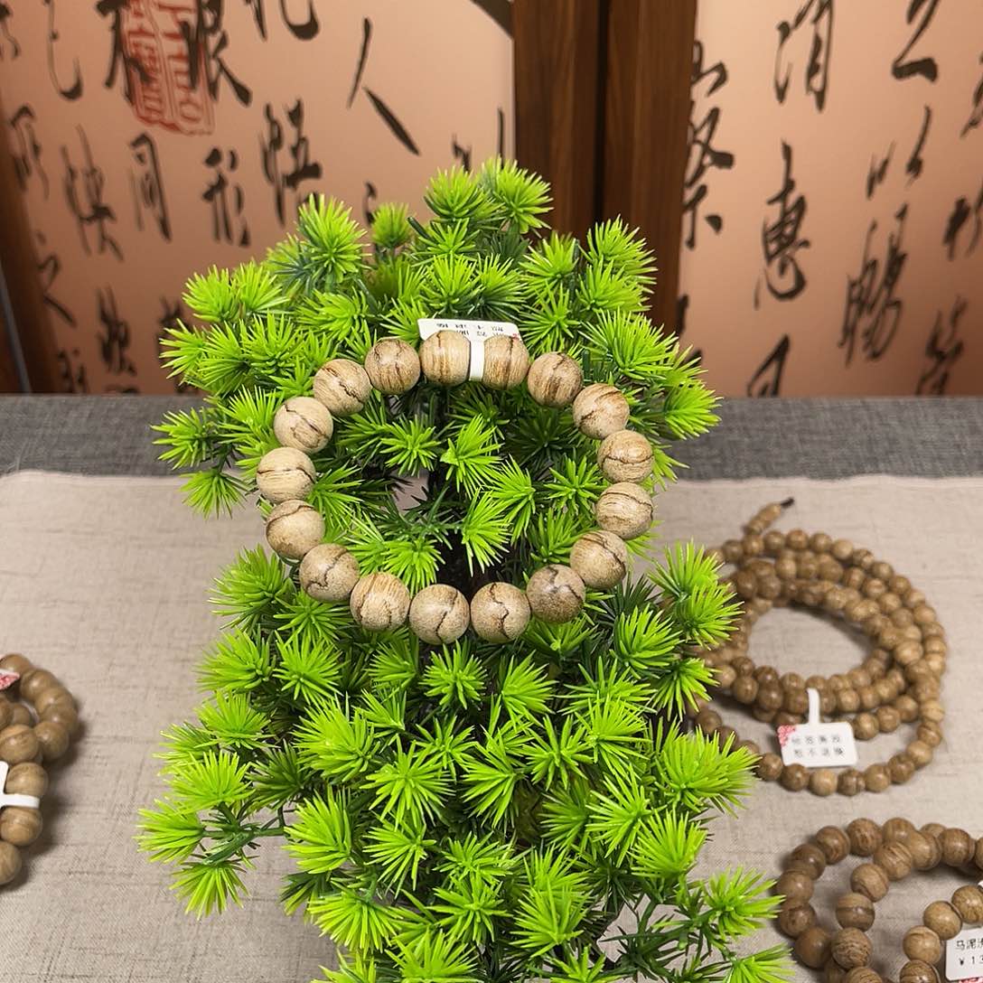 木天然巴布亚。。。。。。。。。。