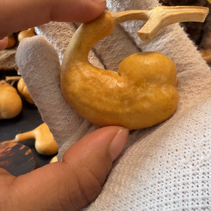 共***ᐟ66……………………………………