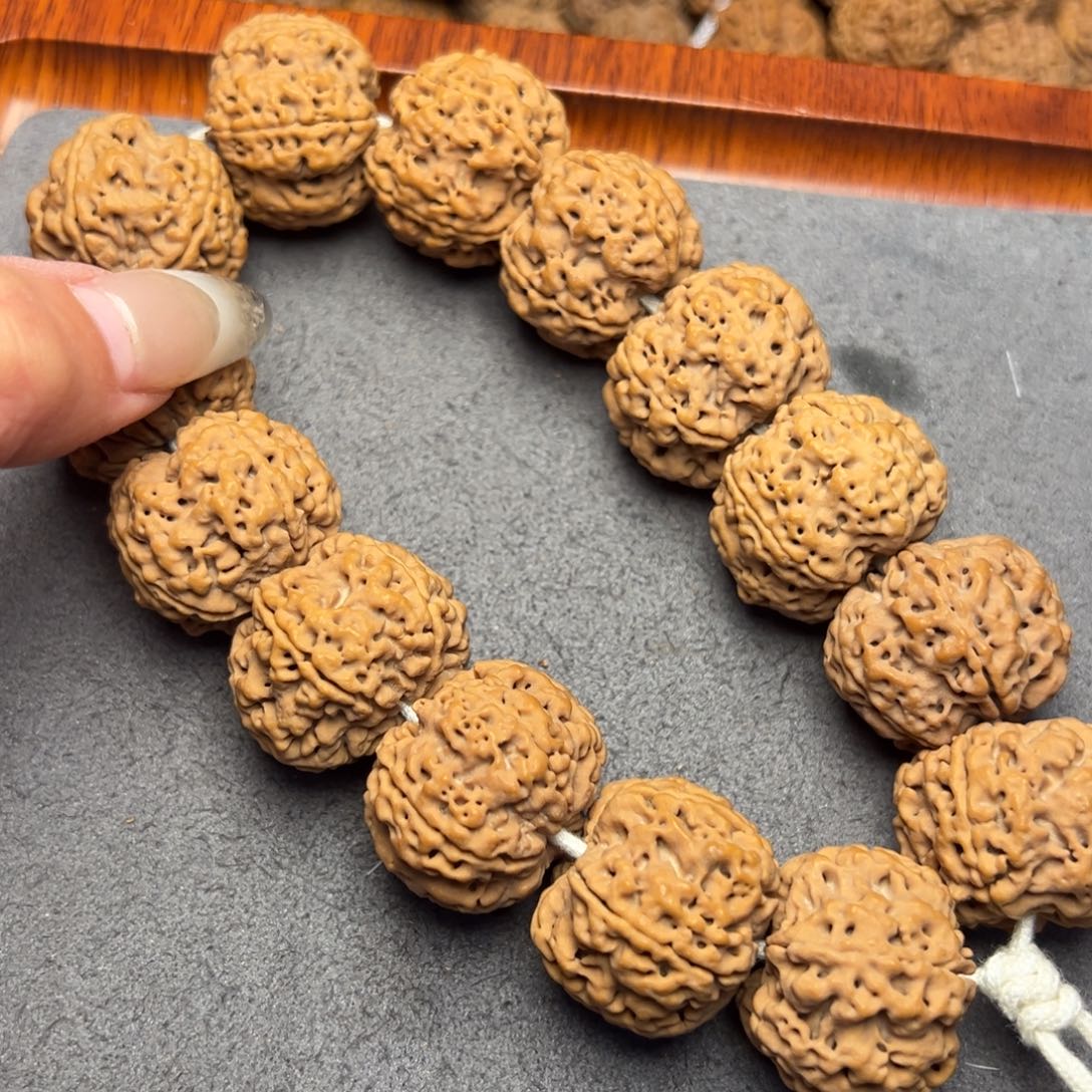 菩提29号尼泊尔大金刚26梅花AAA货头