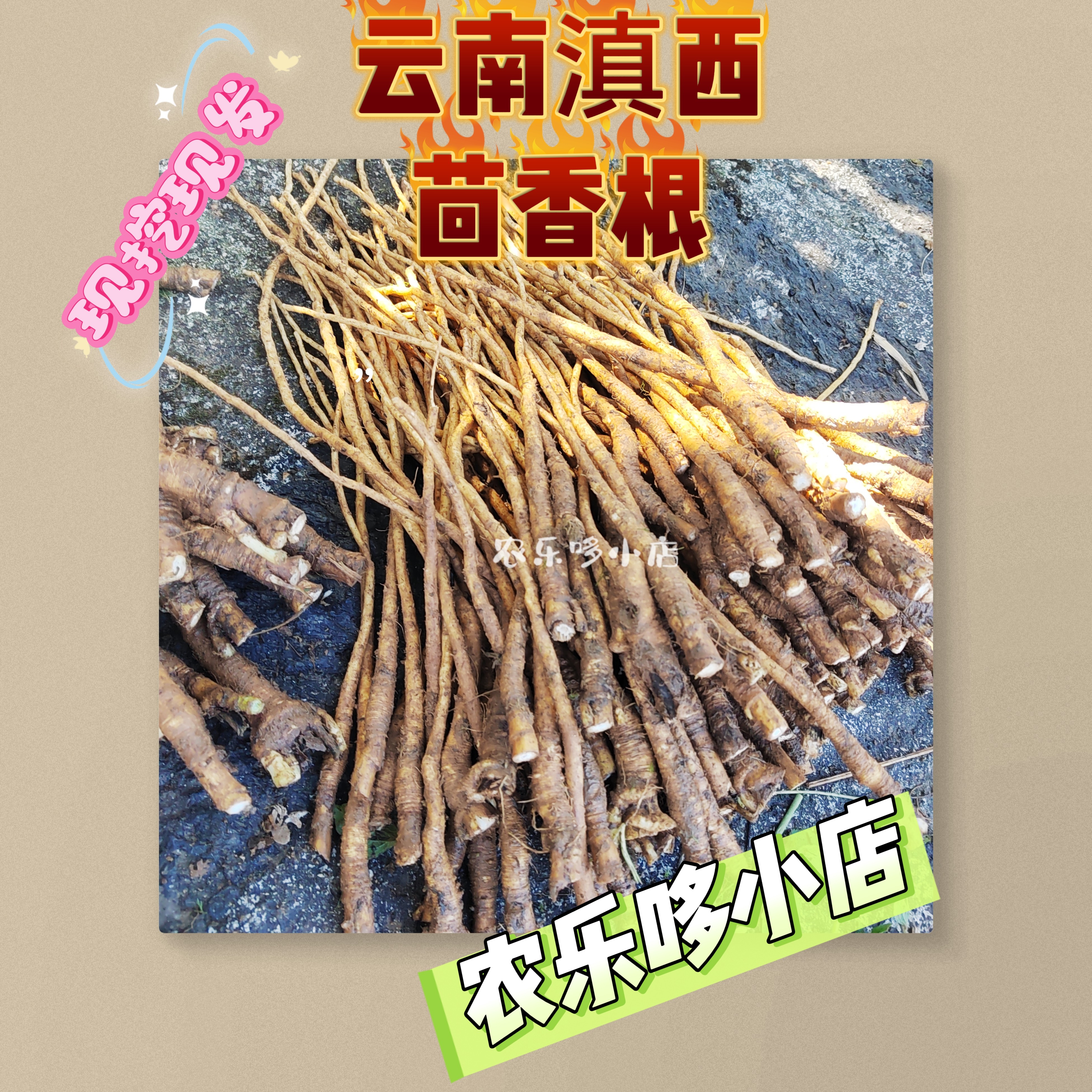 茴香根云南新鲜茴香根煮汤煮排骨味香家居美味食品