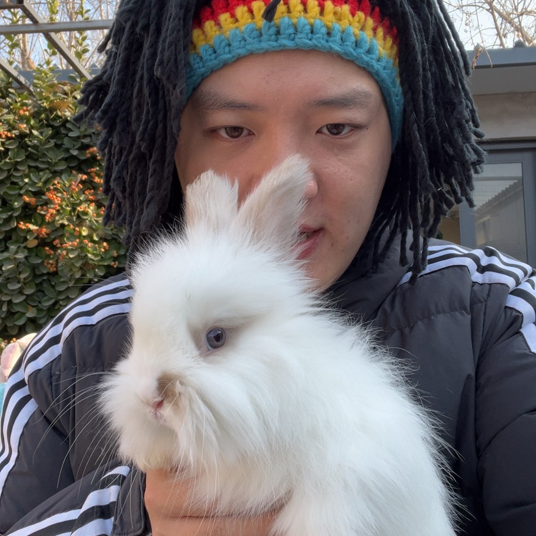 宠物兔英系安哥拉兔