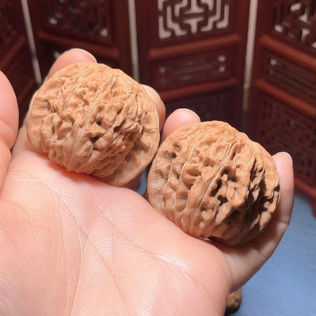 43全品四座楼……福利