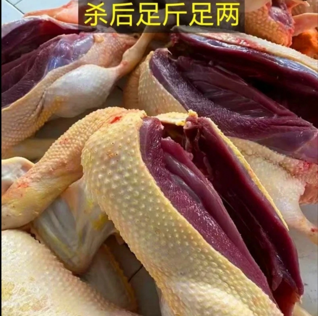 顺丰包邮(精选4只) 农家散养土鸭新鲜宰杀急冻锁鲜土鸭无掌翅