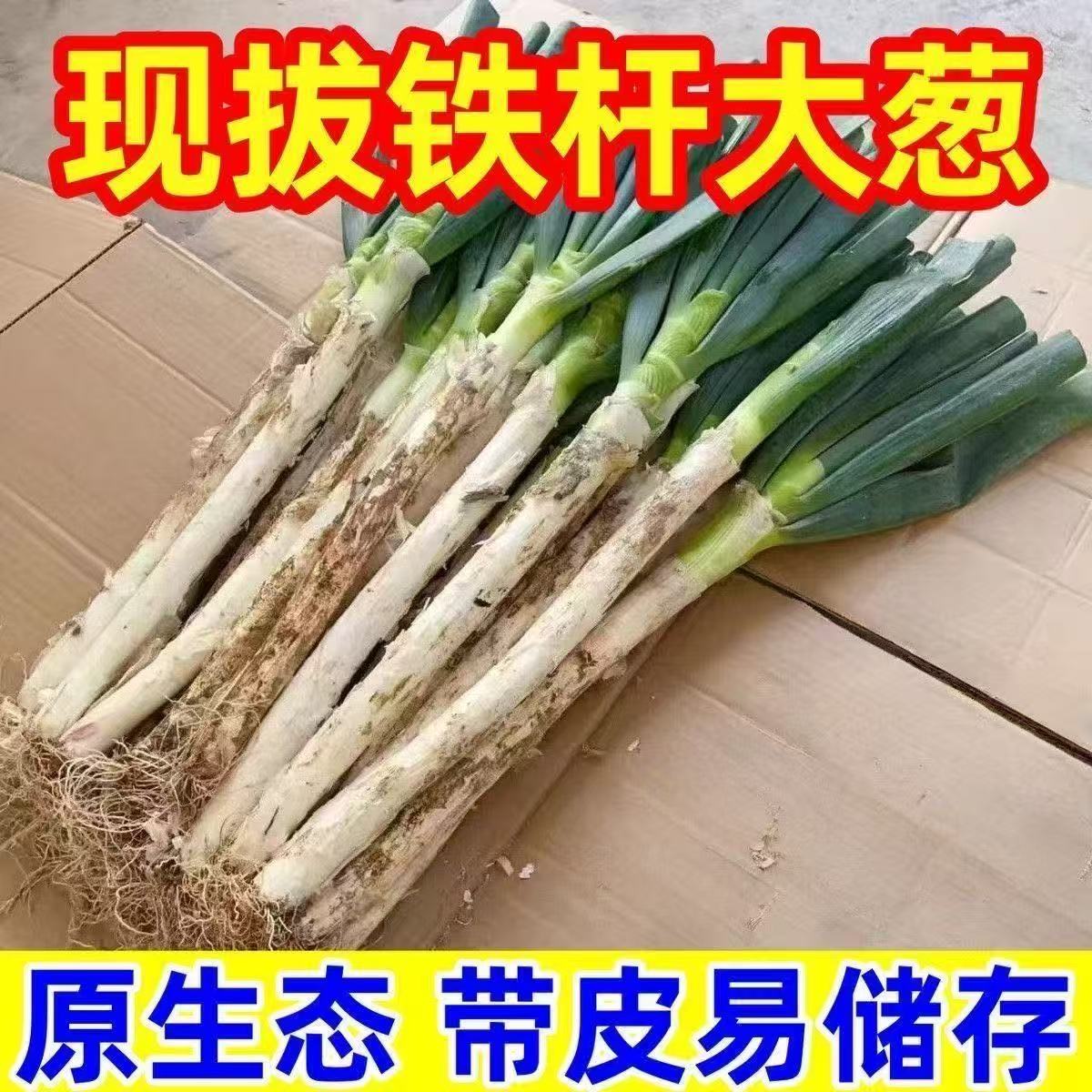 002铁杆大葱新鲜长白脆甜农家自种【买二十斤大葱送十斤生姜】