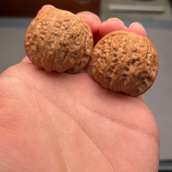 文玩核桃把件血麒麟 36