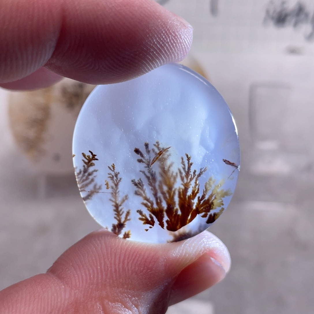 【闪购商品】玛瑙/玉髓颈饰未镶嵌