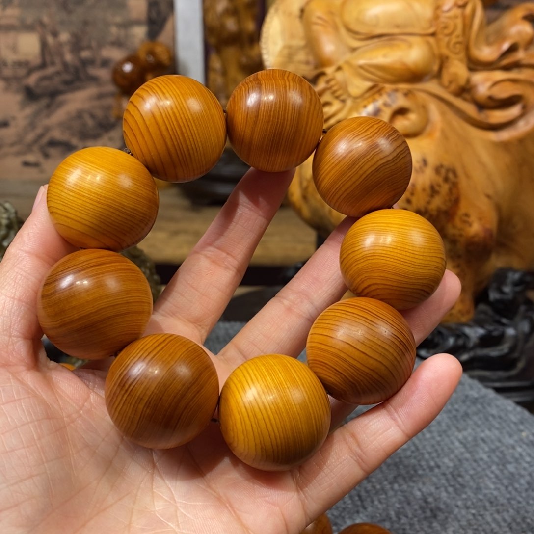 柏木（崖柏）崖柏3.0