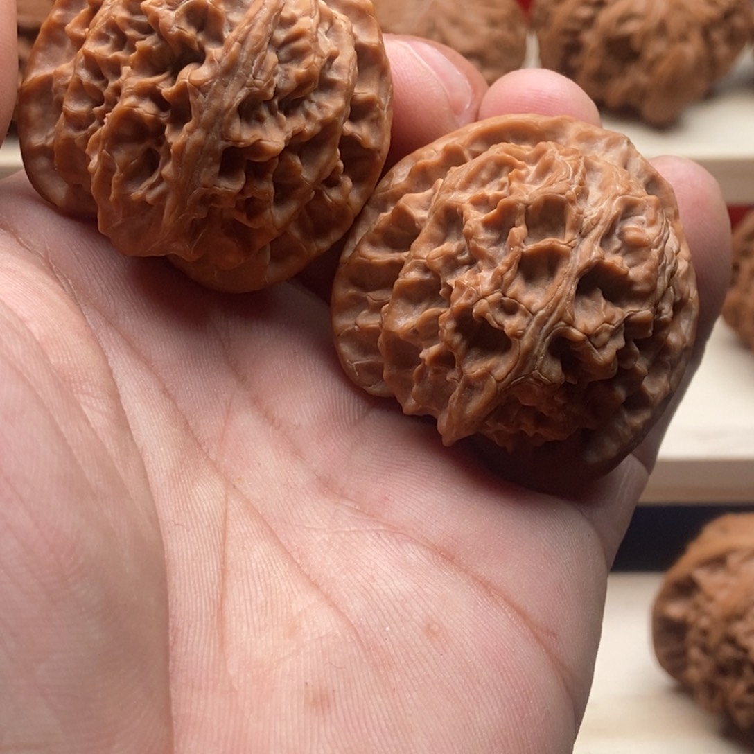 。***C木质类苹果园狮子头