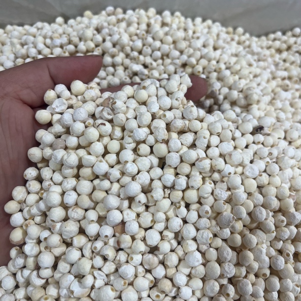 新货去皮芡实仁干货鸡头米优选品质芡实