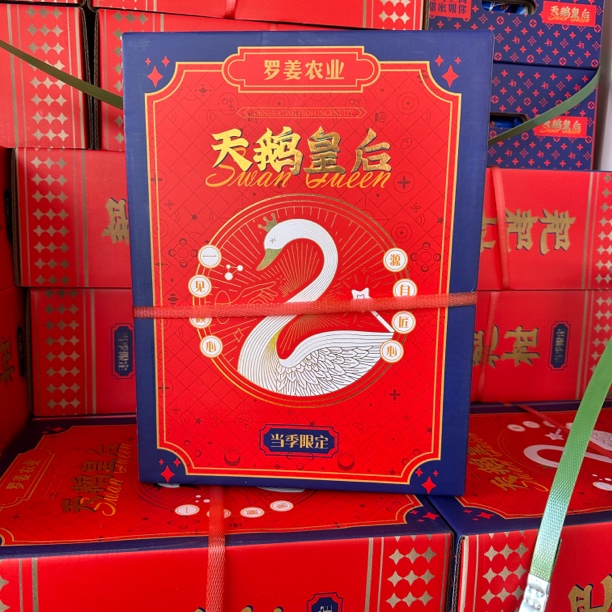 【果真不错】天鹅皇后春见耙耙柑 一口爆汁，纯甜口感，易剥皮礼盒装（武汉小时代同城配送）