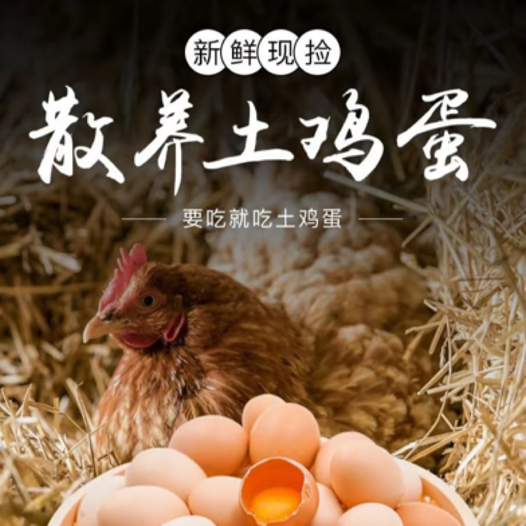 【50枚粉壳土鸡蛋】山林散养 散放  新鲜土鸡蛋 现捡现发