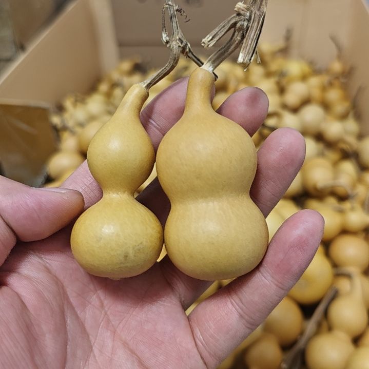 葫芦葫芦葫芦福禄