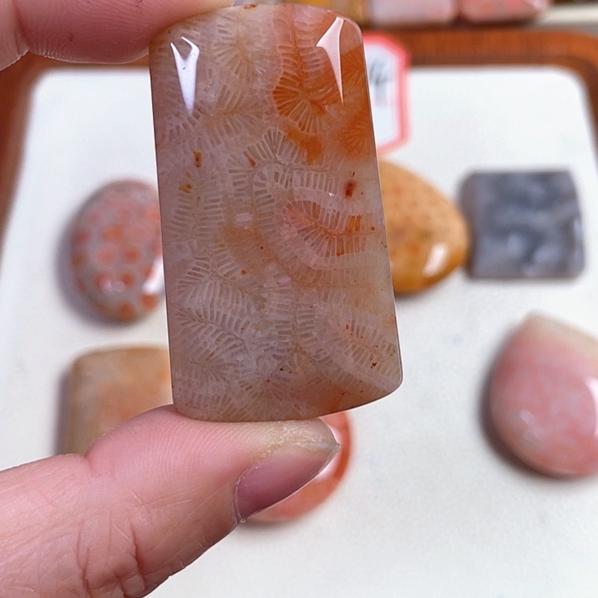 【闪购商品】硅化玉吊坠(赠链)未镶嵌宁**远