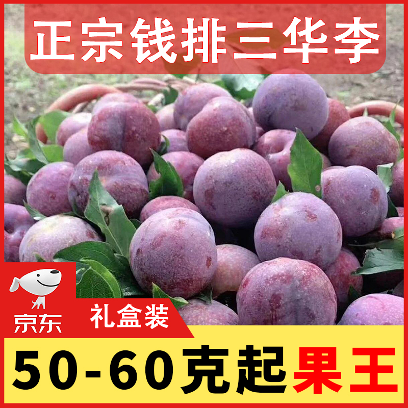 特级果王【只做精品果】广东信宜三华李红心李新鲜采摘酸甜脆爽李子