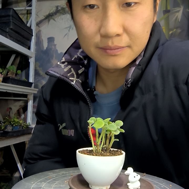 和****风中青园艺一物一拍花69